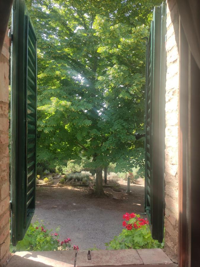 Bauernhof Borgo A Tolli *